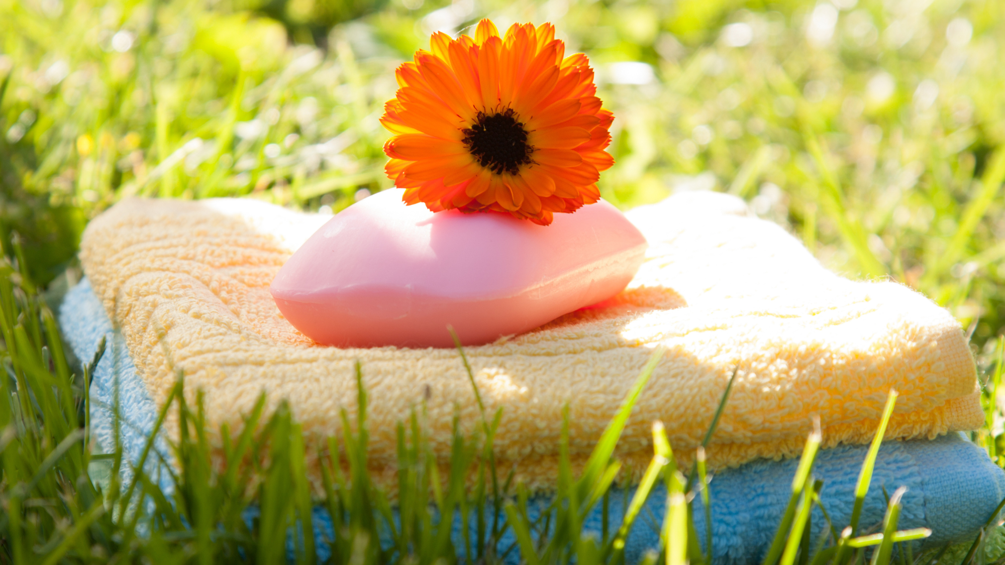 Towels in fresh grass with soap and flower on top of them