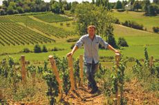 Thibault Despagne, Bordeaux change