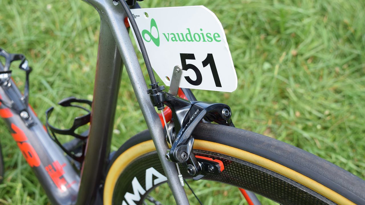 On the chainstays you can see how the silver areas also include flecks of black paint