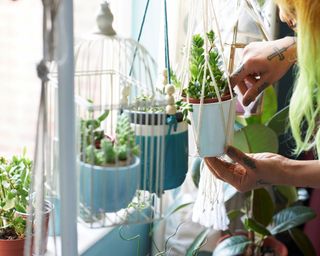 A woman checking whether houseplants need watering