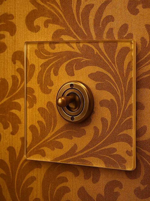 1 Gang 2 Way Clear Light Switch