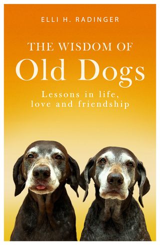 The Wisdom of Old Dogs by Elli H.Radinger