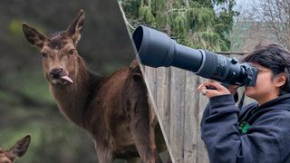 OM System OM-1 Mark II