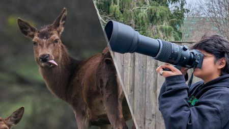 OM System OM-1 Mark II