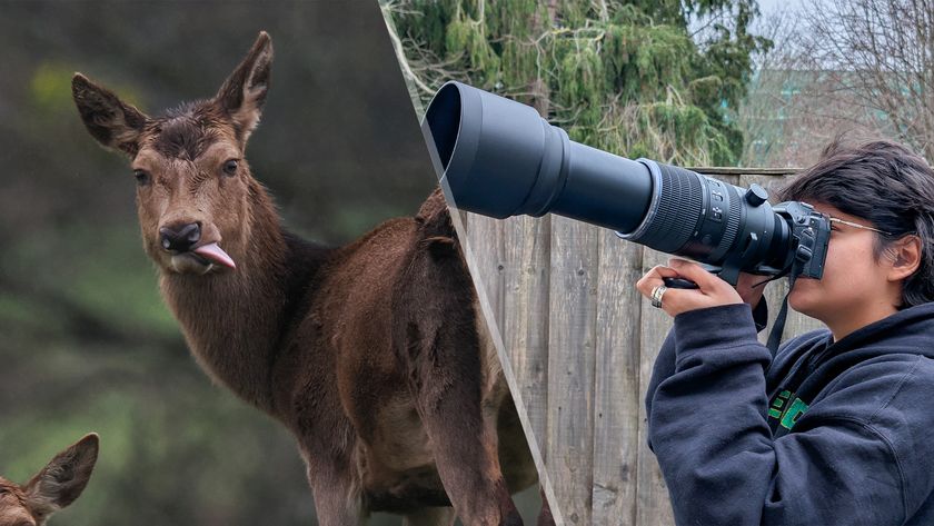 OM System OM-1 Mark II