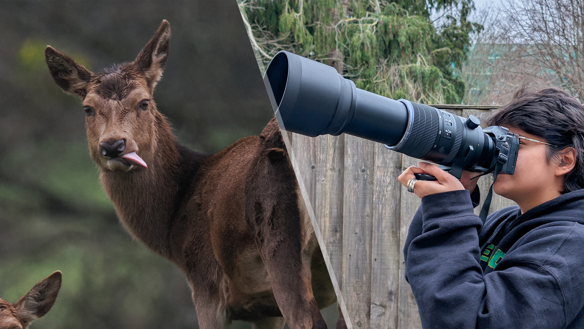 OM System OM-1 Mark II