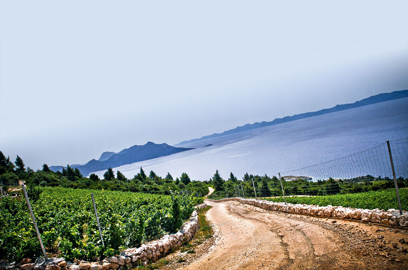 Vistas from Saints Hills vineyards