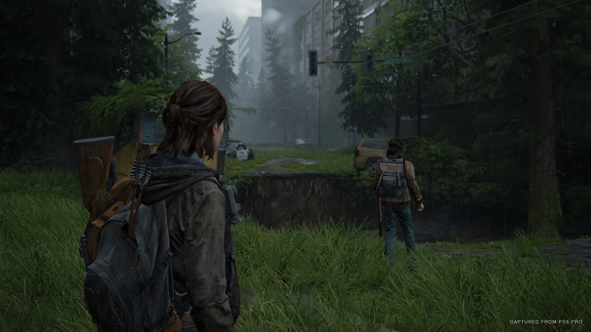 The Last of Us Part 2 Well Wishes safe code 