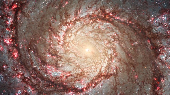 Swirling bands of red and yellow stars in clouds of dust.