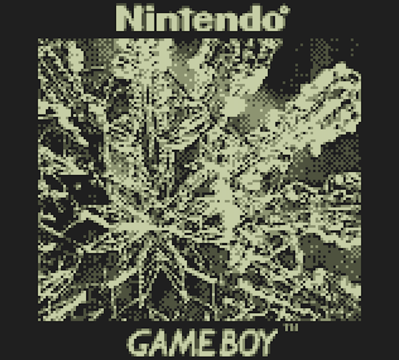 This Game Boy Camera can shoot photos of the moon