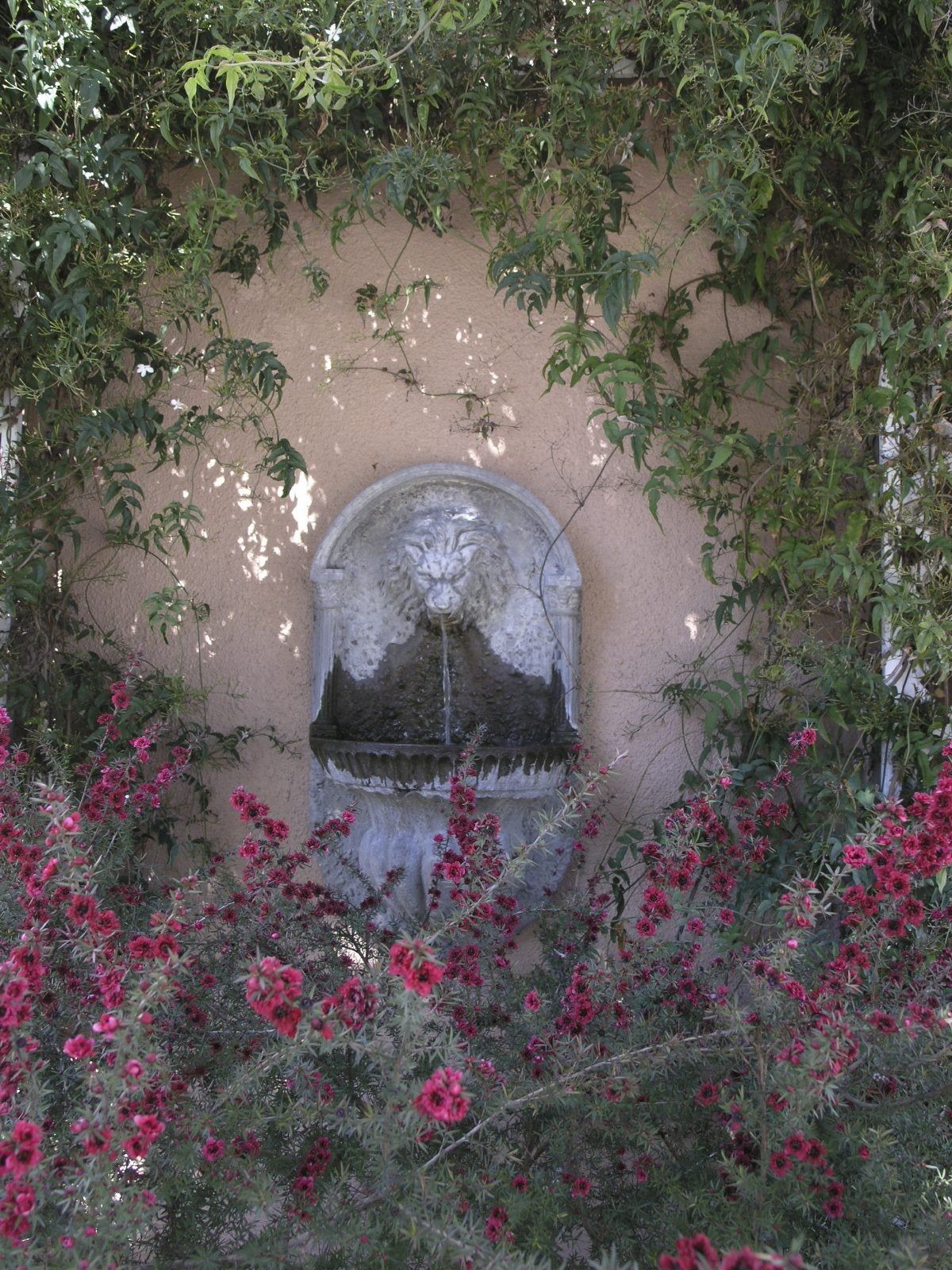 Running Wall Fountain Surrounded By Plants