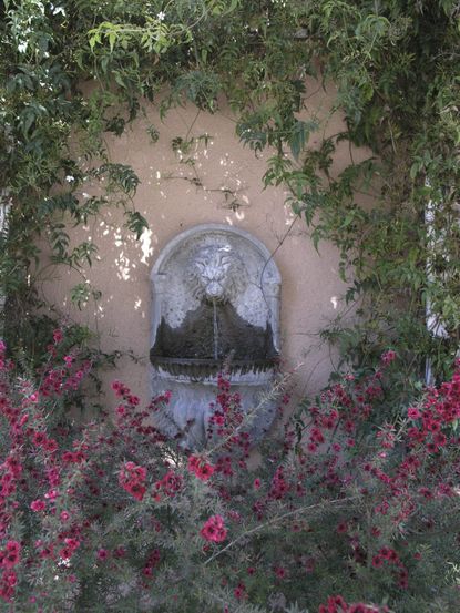 Running Wall Fountain Surrounded By Plants