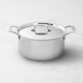 all clad stainless steel stock pot