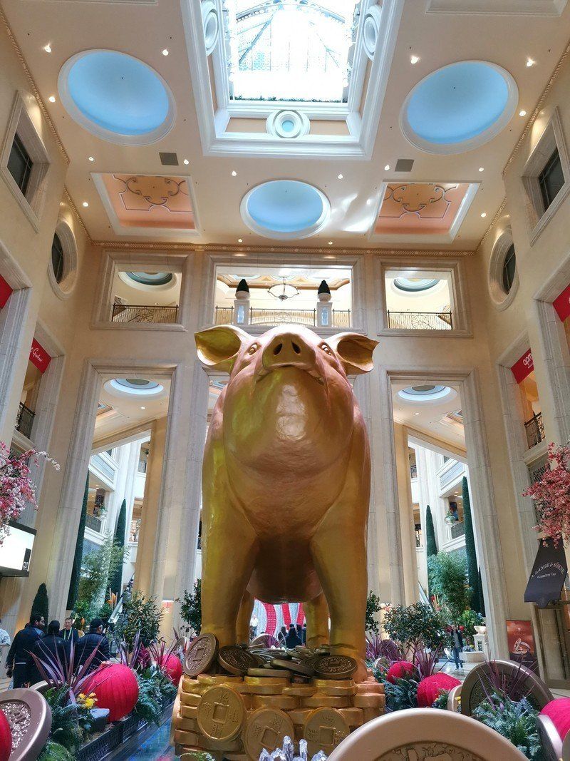 Honor View 20 photo sample