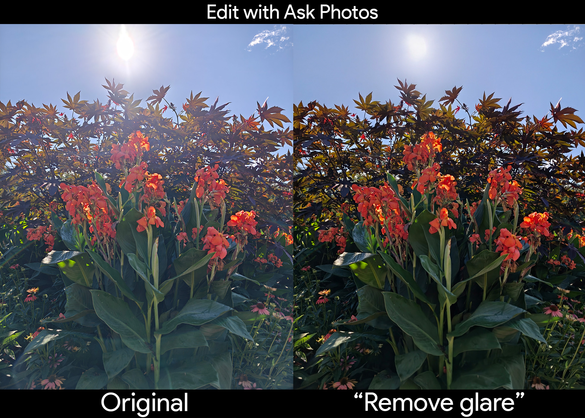 Removing sun flare glare from a picture using Edit with Ask Photos on a Google Pixel 10 Pro