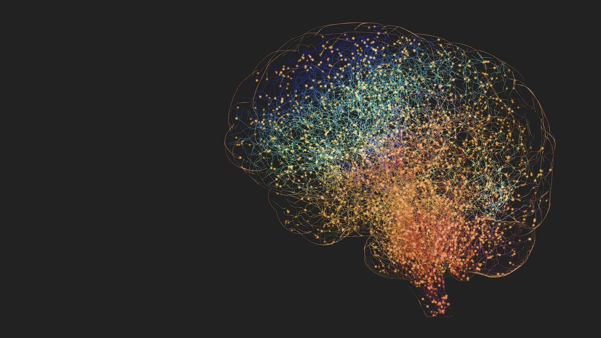 Can adults grow new brain cells?