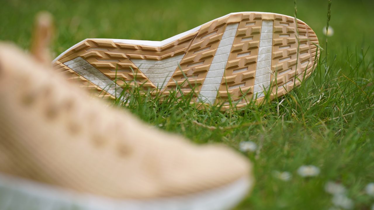 Allbirds Tree Flyers review