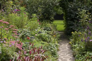 borders in a cottage garden