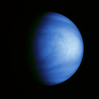 Planetary Protection Study Group Mulls Life On Venus