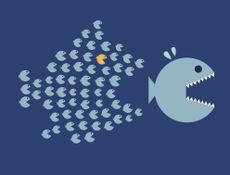 a school of small blue fish and one yellow fish chasing a big blue fish