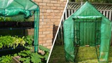  composite of greenhouse with plants in it and plastic mini greenhouse