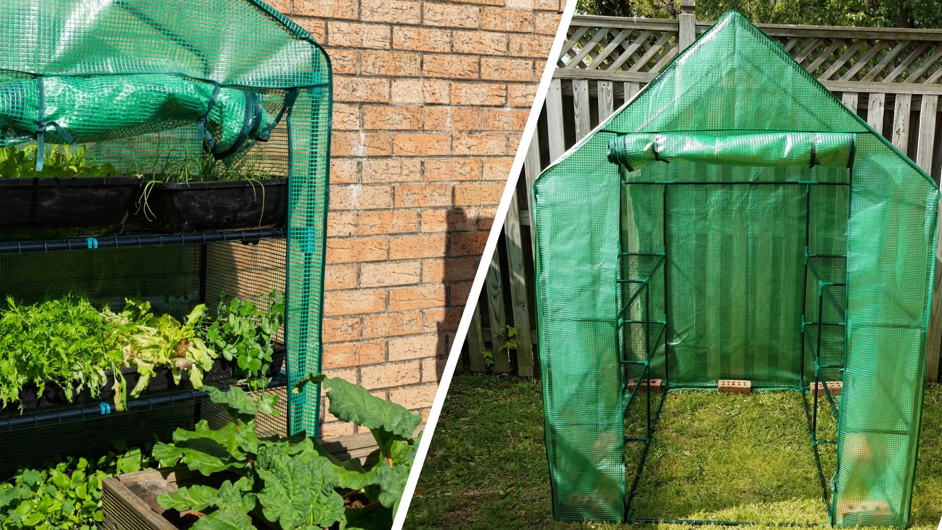  composite of greenhouse with plants in it and plastic mini greenhouse