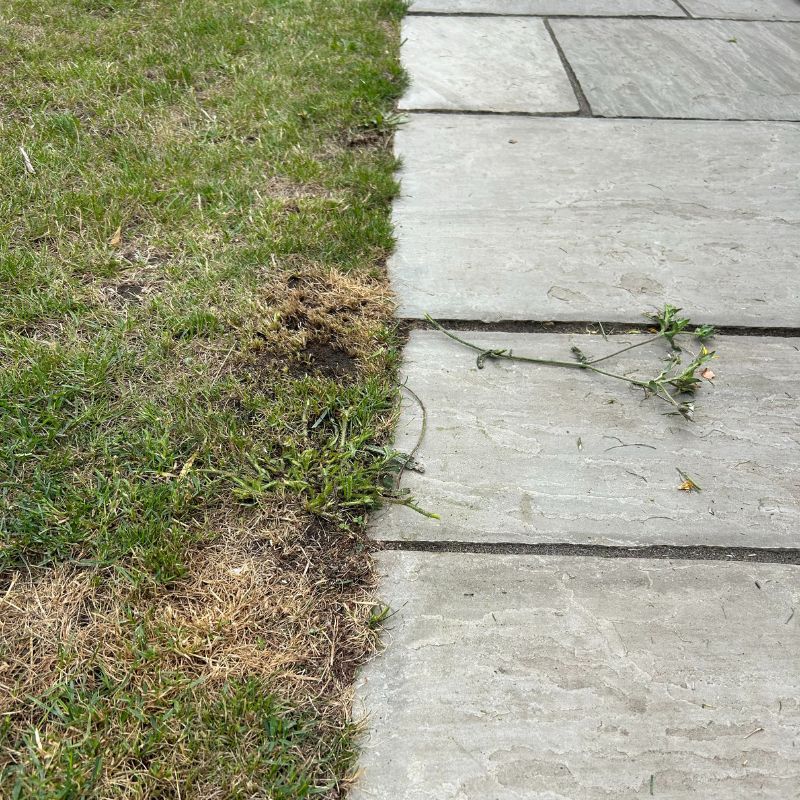 Vonhaus Cordless Lawn Mower 40V - after cutting weeds
