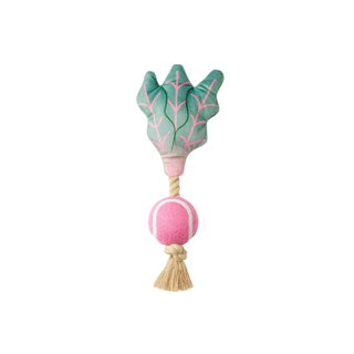 Beetroot shaped ball and rope dog toy