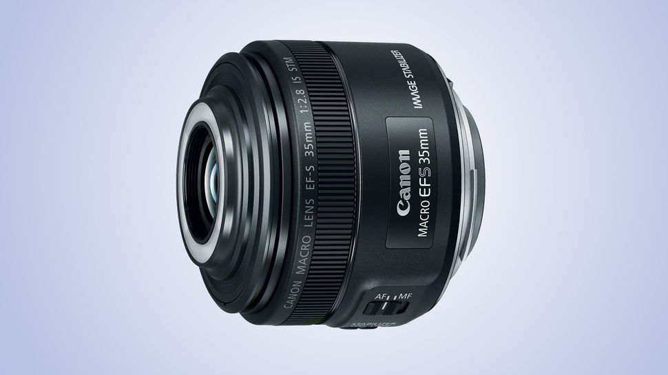 Get up close with the new Canon macro lens TechRadar