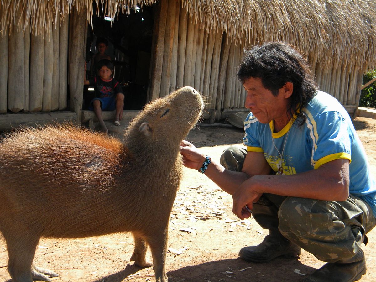 Ntôni Kisêdjê, leader of the Kisêdjê people, strokes the chin of his pet capybara.