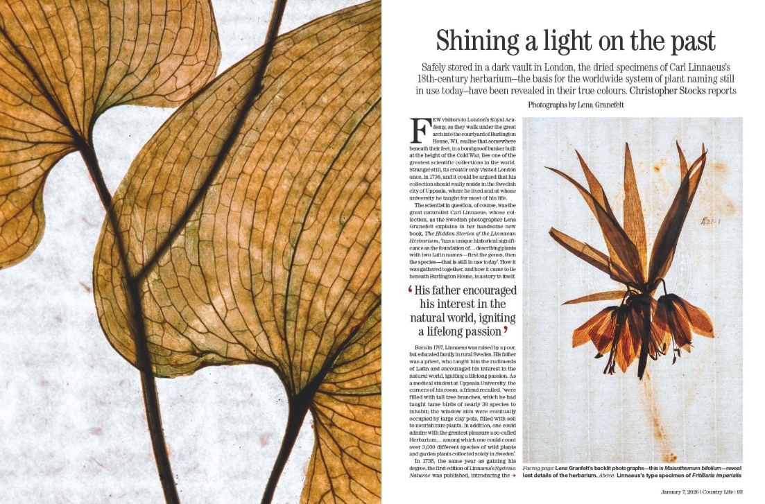 Spreads from Country Life January 7, 2025