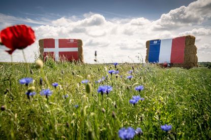 Denmark and France flags on straw bales