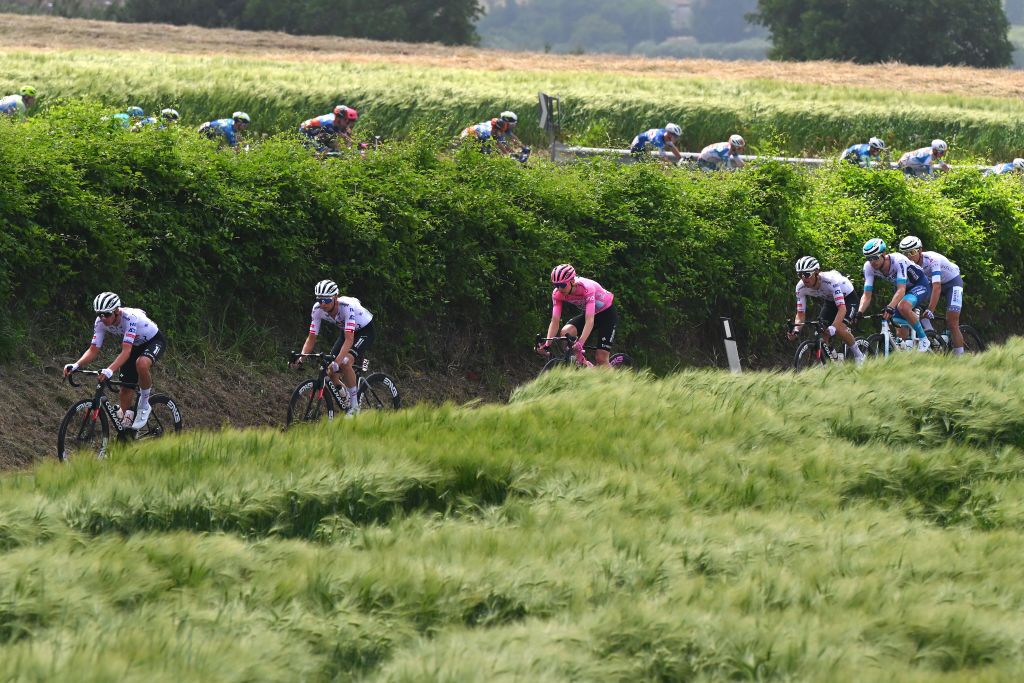 FANO ITALY MAY 16 LR Domen Novak of Slovenia Tadej Pogacar of Slovenia and UAE Team Emirates Pink Leader Jersey and a general view of the peloton competing during the 107th Giro dItalia 2024 Stage 12 a 193km stage from Martinsicuro to Fano UCIWT on May 16 2024 in Fano Italy Photo by Tim de WaeleGetty Images