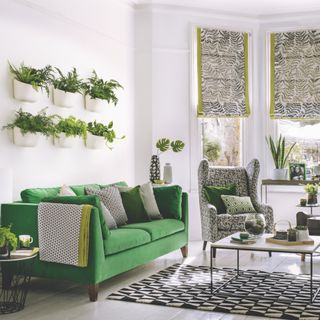 green and white living room with green sofa, wall mounted plant pots with ferns, blinds with green edging, black and white rug, black and white armchair, green print cushions, coffee table