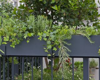 Balcony railing herb box planter