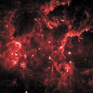 In a region of the constellation Cygnus known as Cygnus X, radiation from many huge stars has heated and pushed gas away from star clusters, producing bubbles of hot, lower-density gas. In this infrared image from the MSX satellite, ridges of denser gas mark the boundaries of the bubbles. Bright spots within these ridges show where stars are forming today.