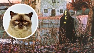 The cover of Black Sabbath's first album, and a cat