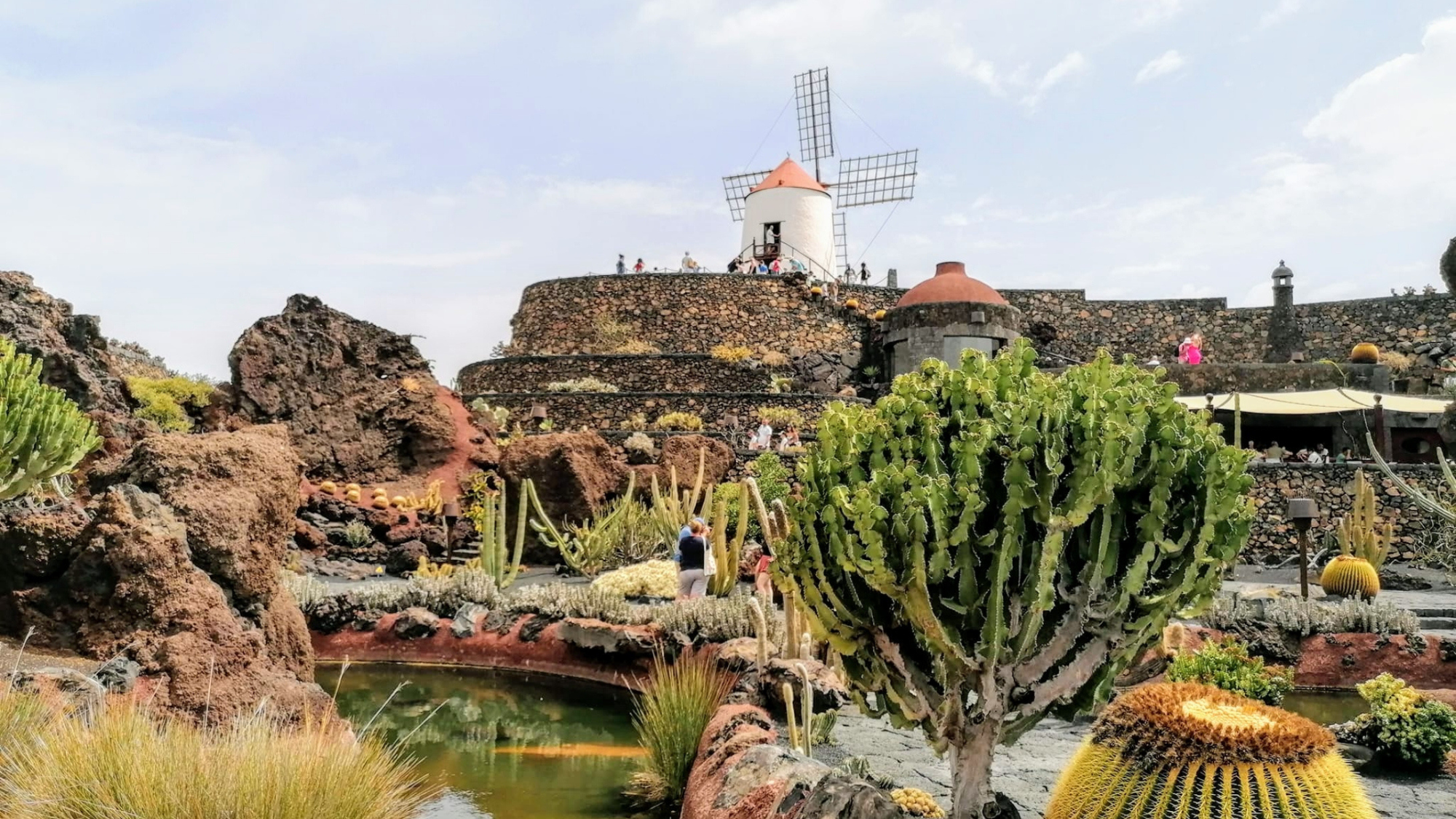 The Jardin de Cactus in Lanzarote, with hundreds of plants and a small white windmill