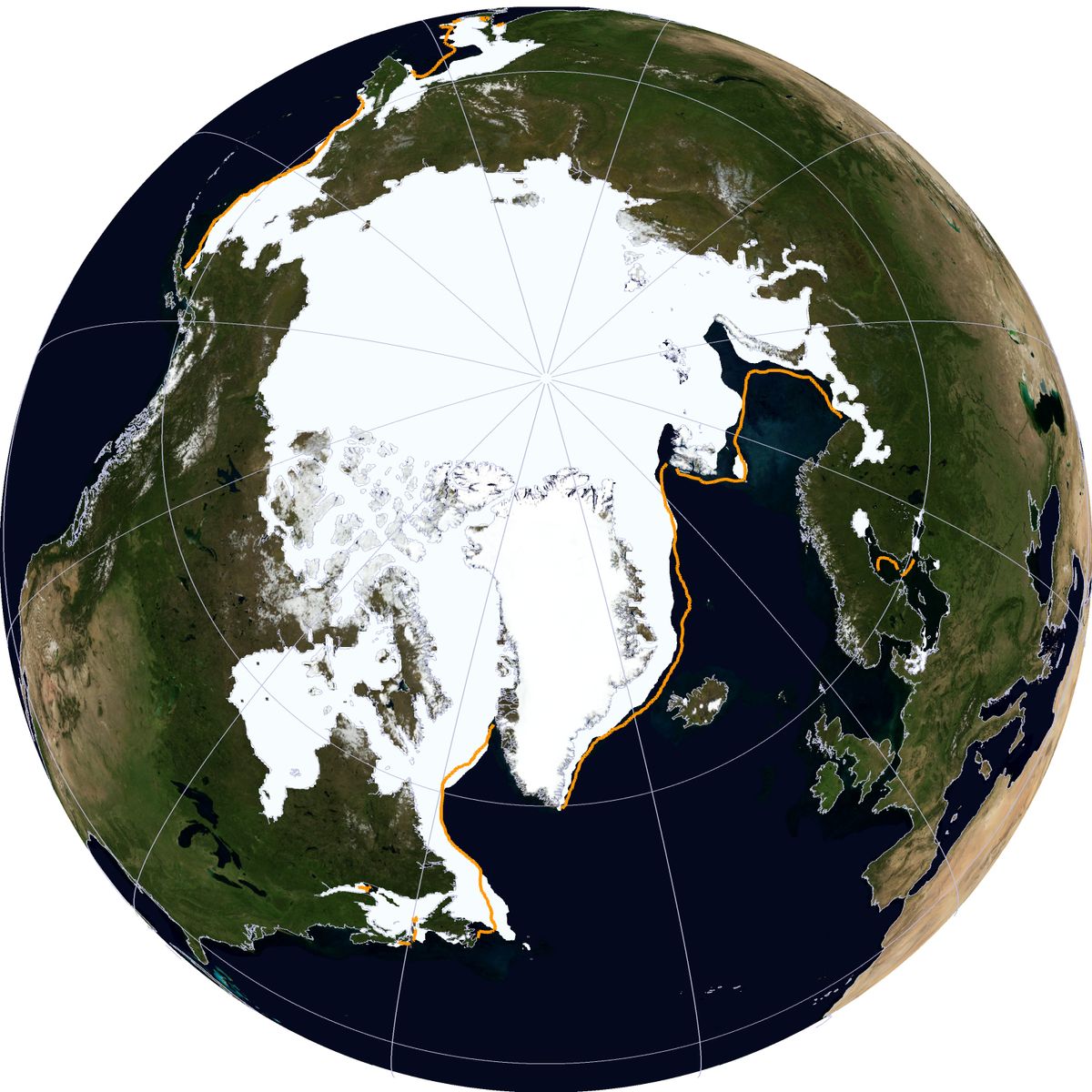 Arctic sea ice