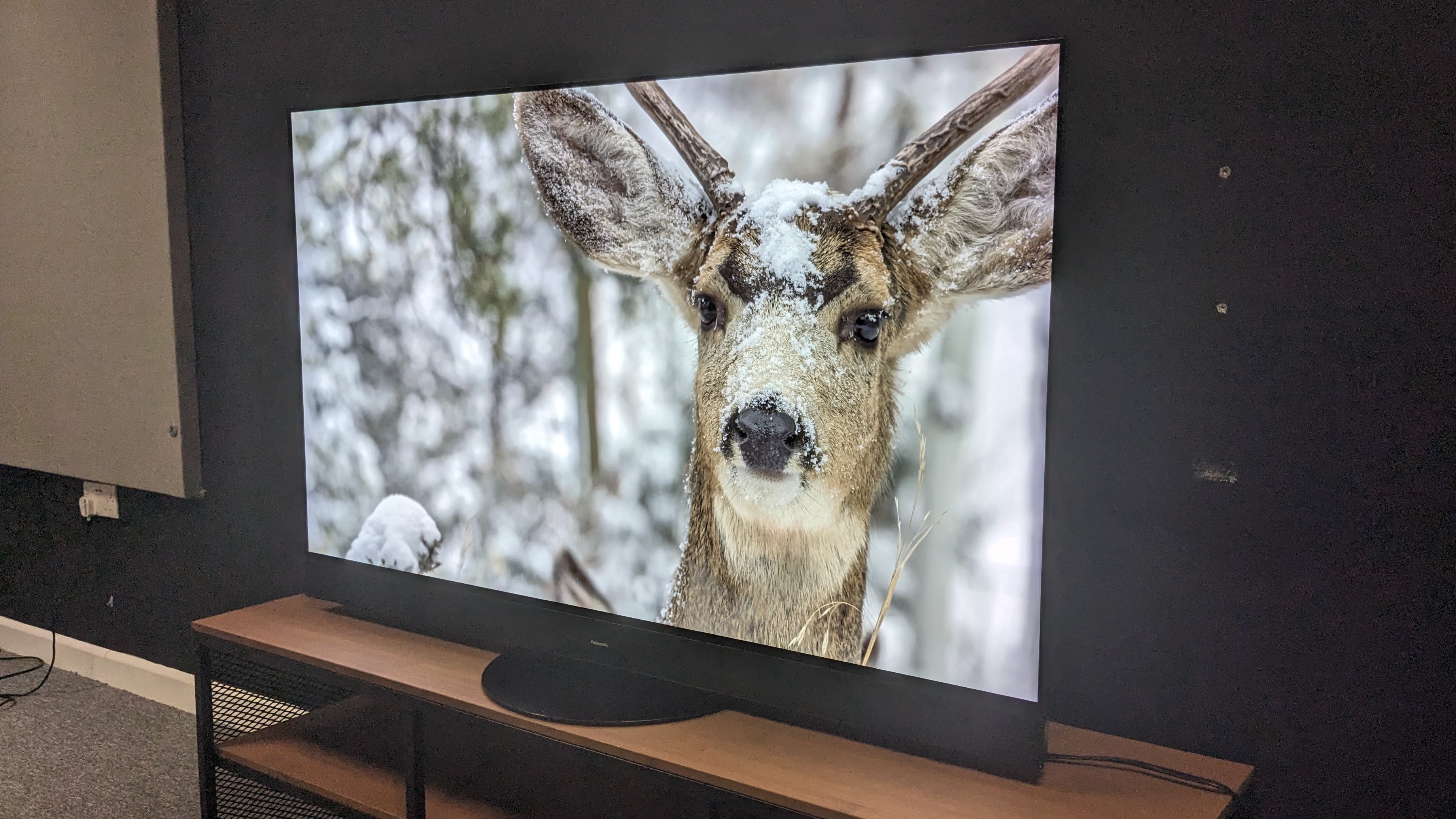 Panasonic MZ2000 with deer in snow on screen