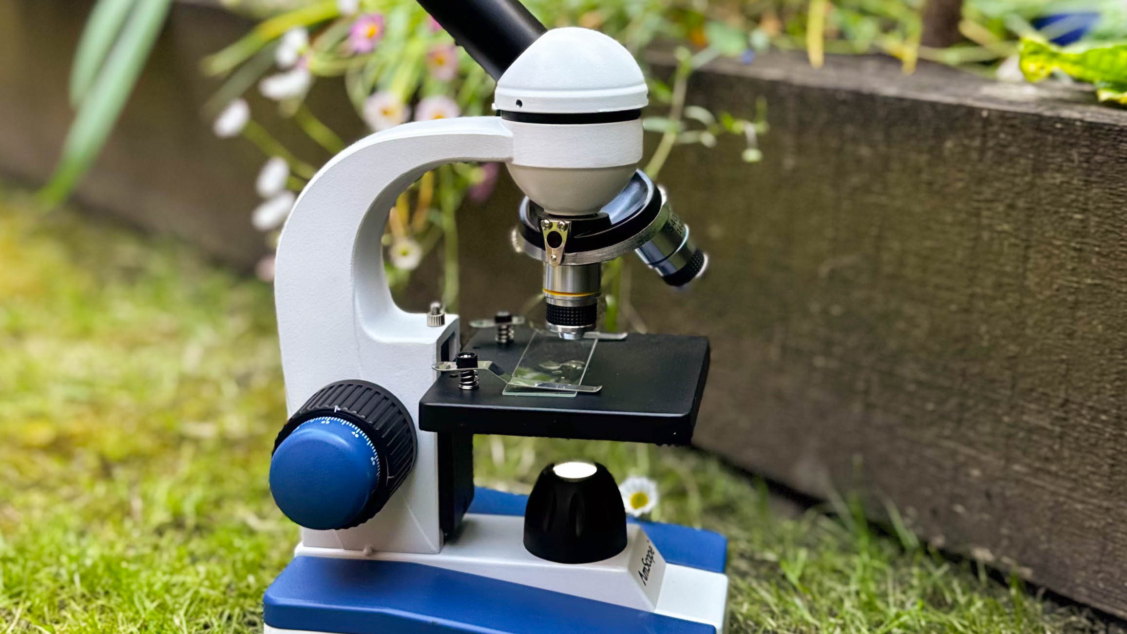 Microscope mechanical stage with slide placed on it for observation