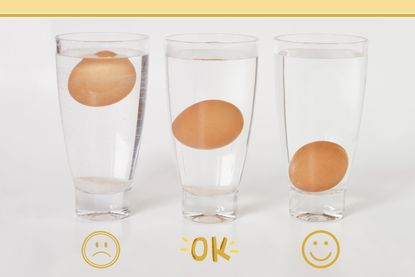 Eggs floating and sinking in water as part of egg float test