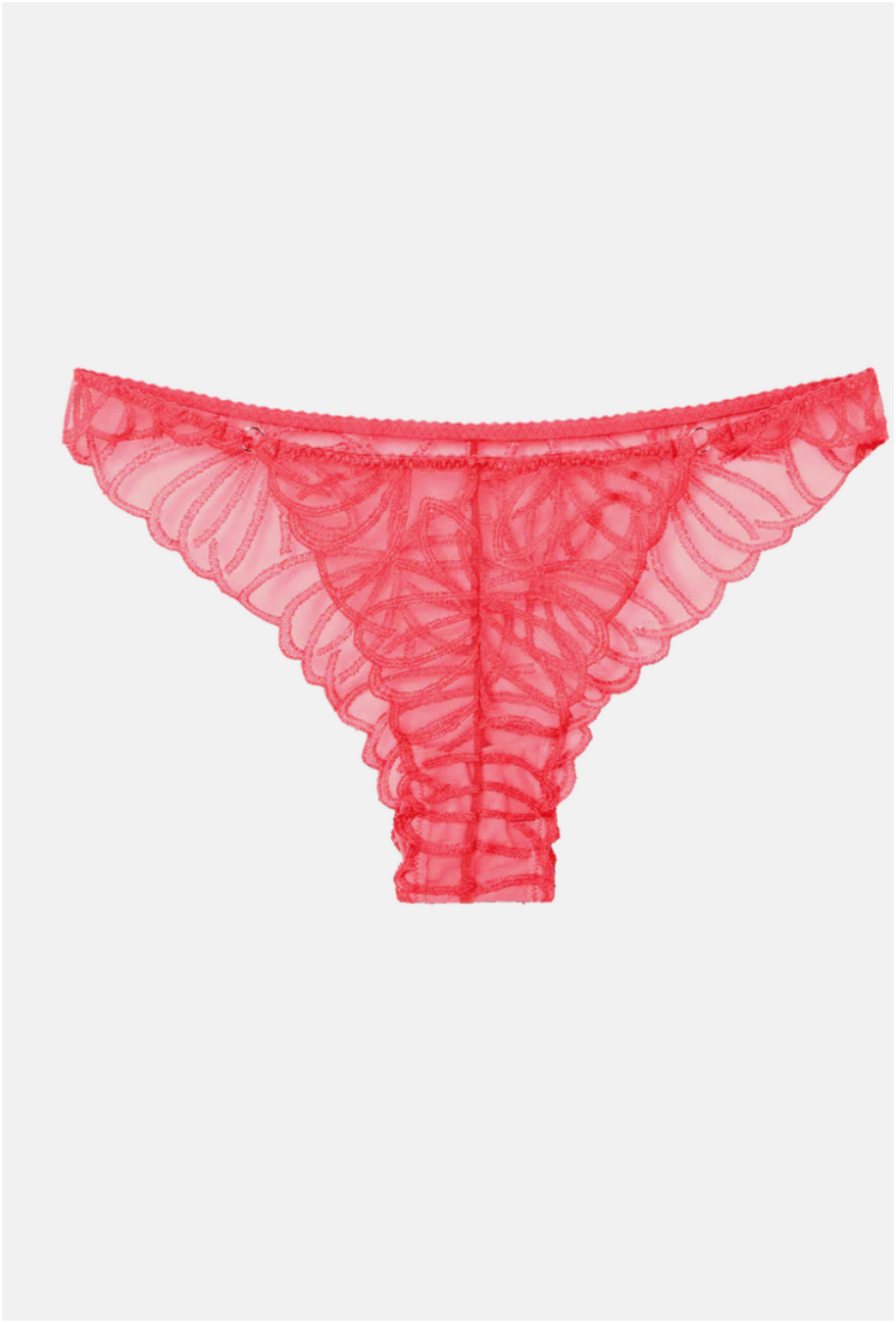 Fruity Booty, Antonella Brief