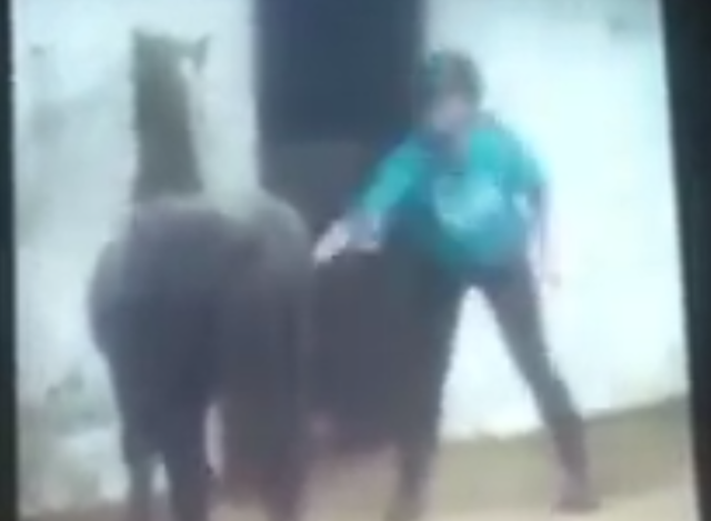 FBVideo1.png