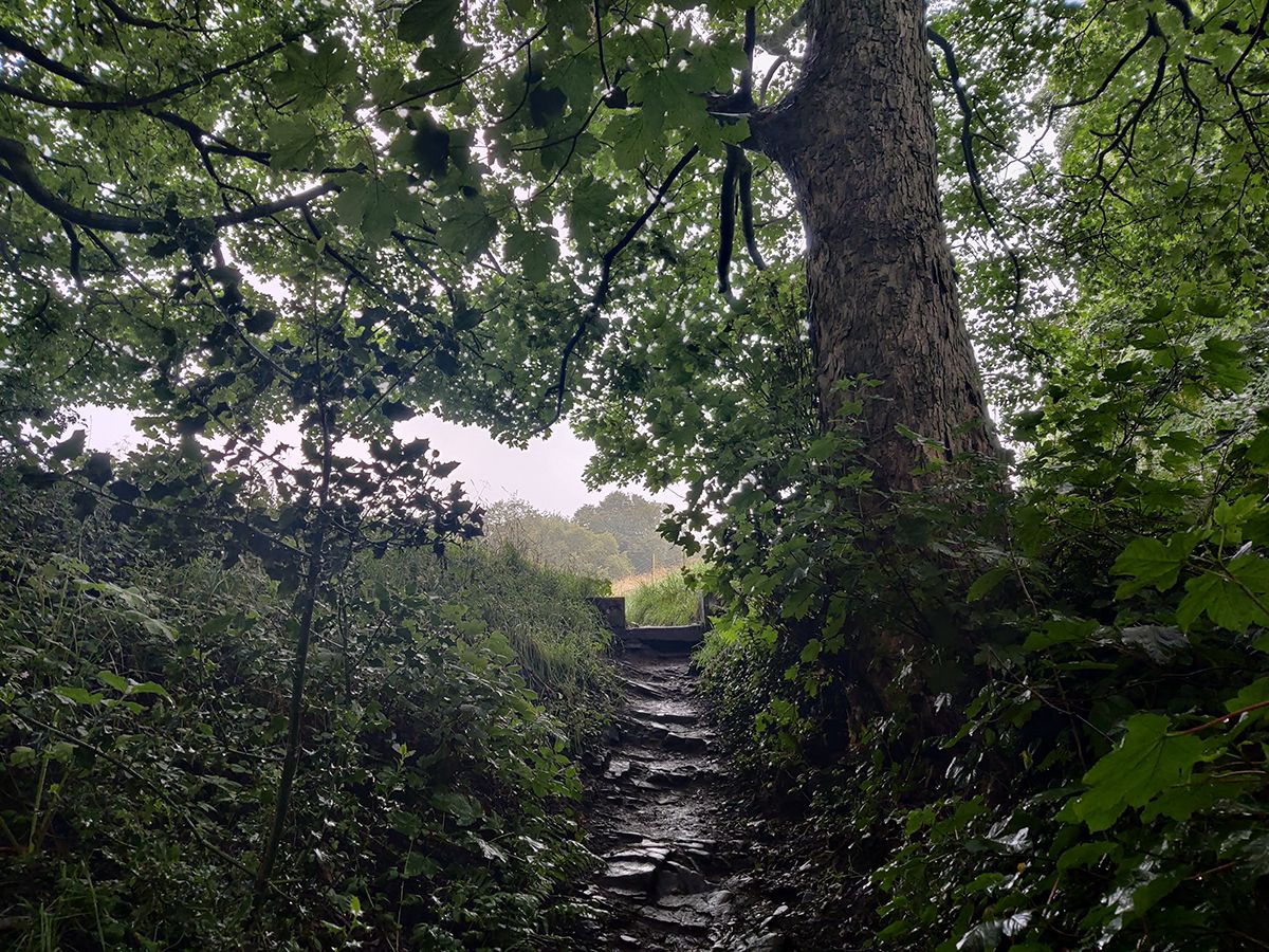 OnePlus Nord camera sample