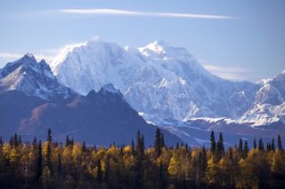 Snowcapped mountain peak in Alaska with forest in the foreground.