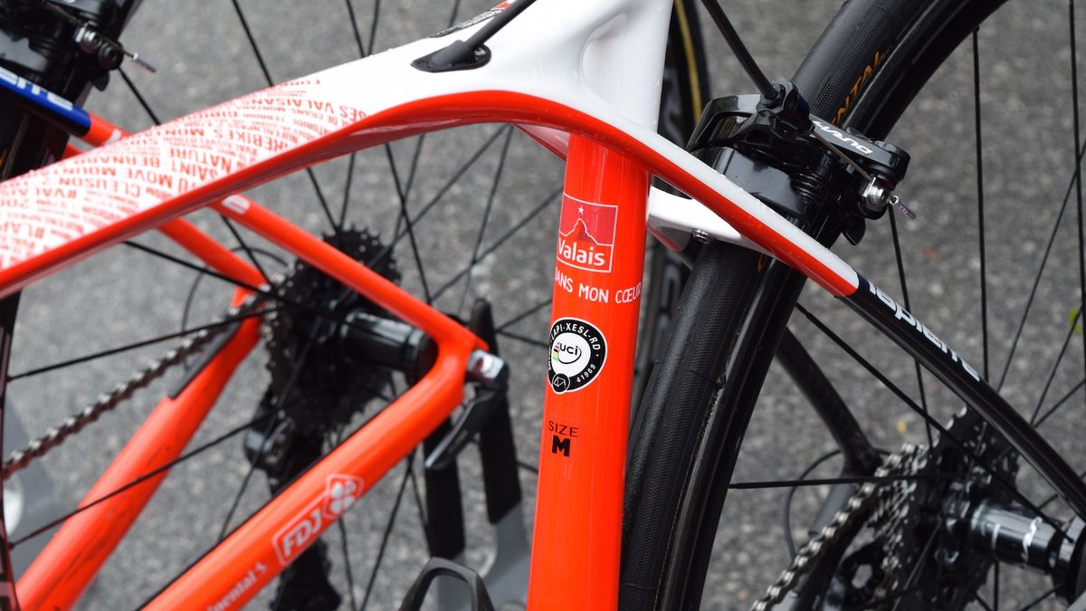 'Valais. Engraved in my heart' is adorned on the seat tube