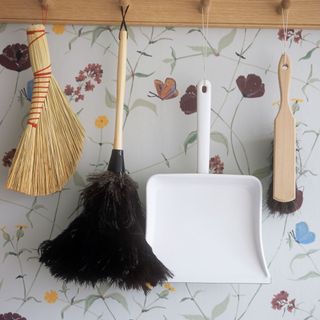 kitchen with Feather duster and cleaning brushes