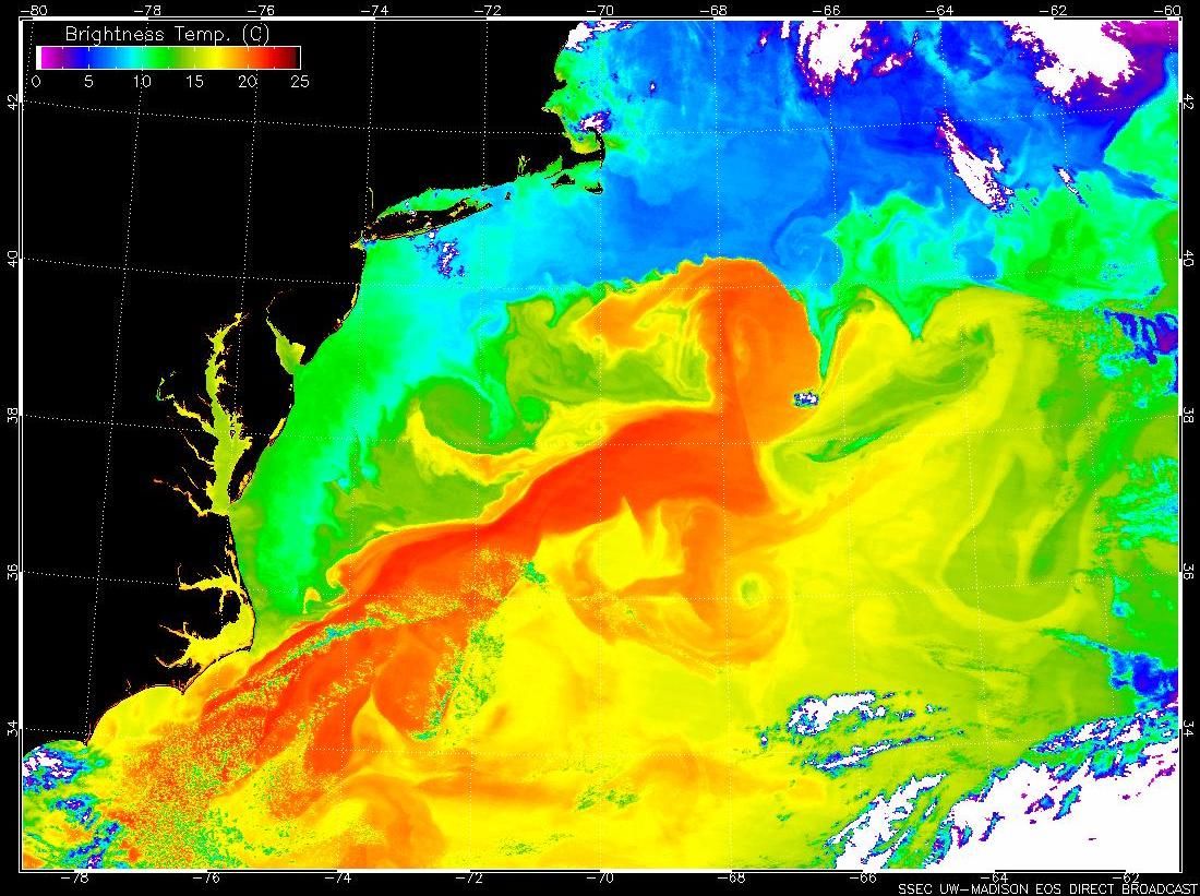 The Gulf Stream current (red) speeds warm water up the eastern coast of the United States, where it clashes with cold water in the North Atlantic.