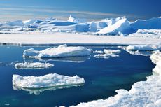 sea ice